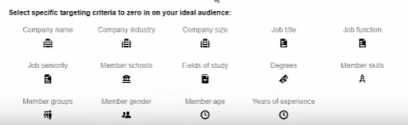 LinkedIn professional targeting options showing job title, function, and demographic selections