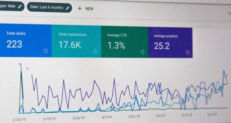 Digital marketer tracking SEO performance and link building results on dashboard analytics