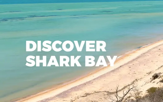 Breathtaking Shark Bay