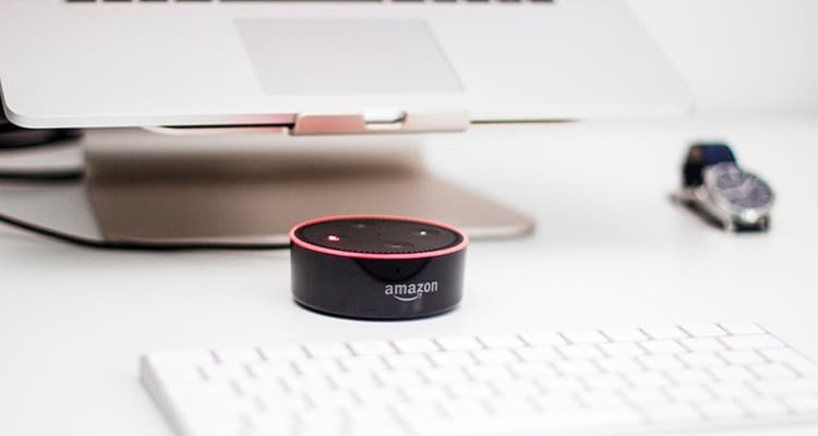 Smartphone with voice search interface