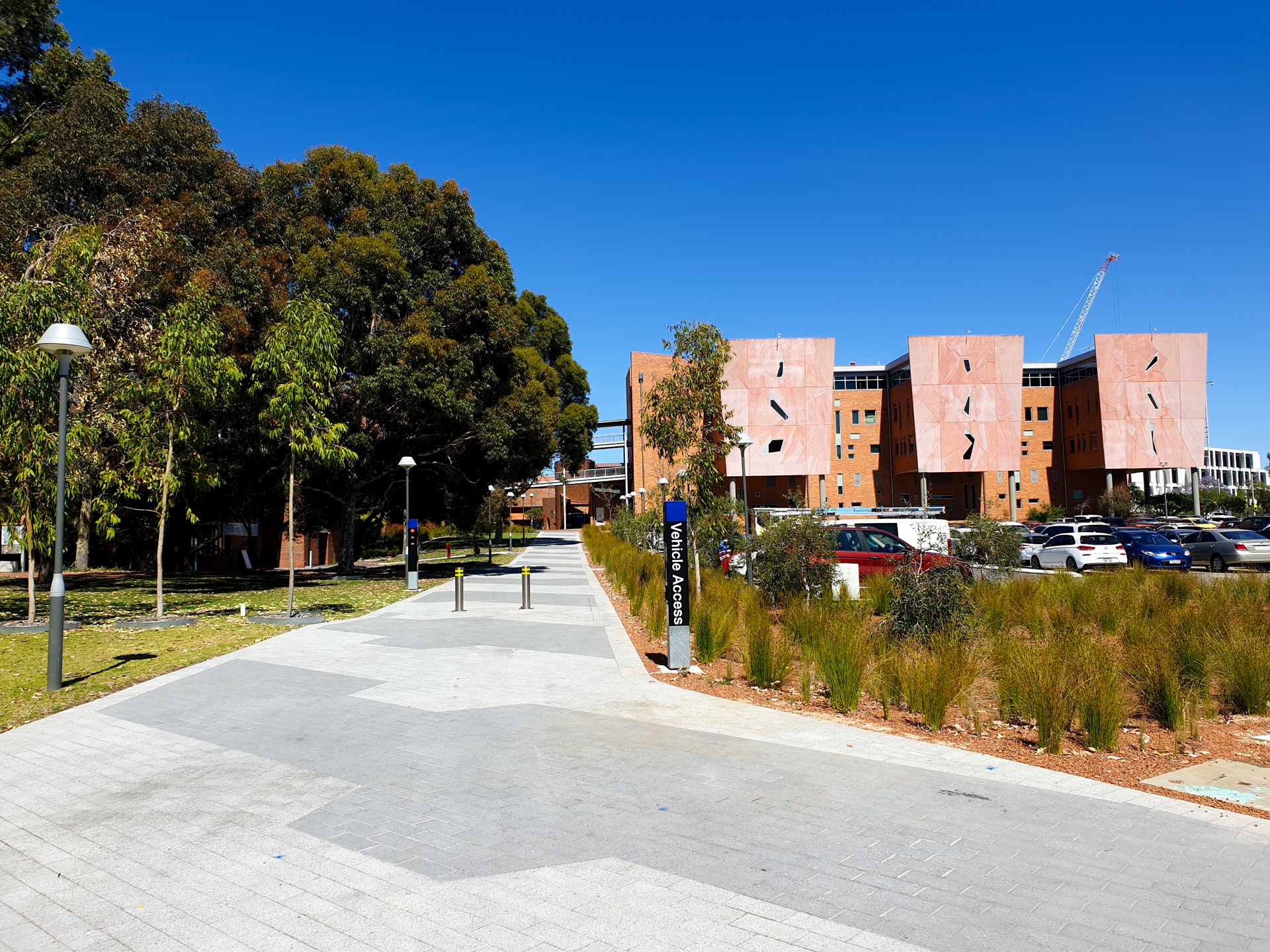 A paved path leads through a landscaped area with trees and grass towards modern, orange-clad buildings—an inspiring setting where Young Minds can shape the Future. Blue sky and parked cars are visible on the right side.